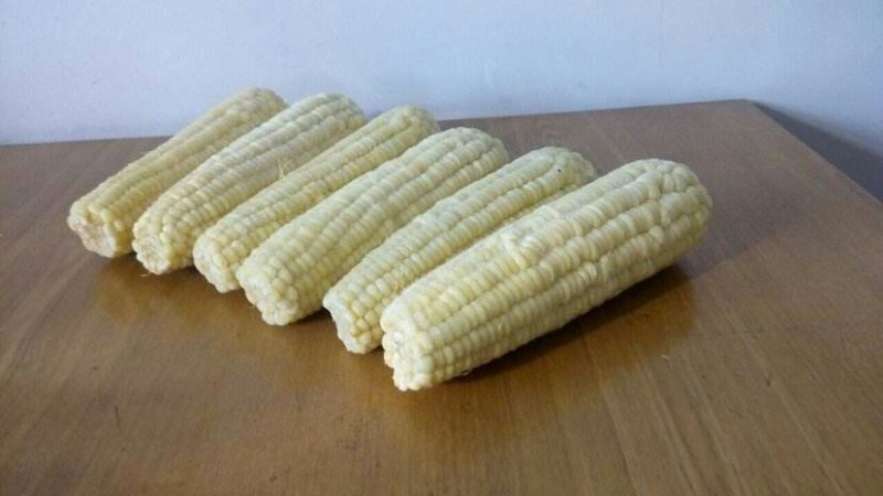 花玉米上市