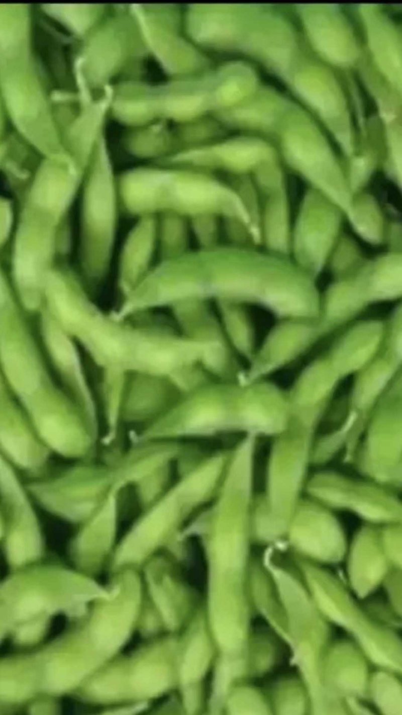 开心绿毛豆-基地直供-保证质量-货源充足