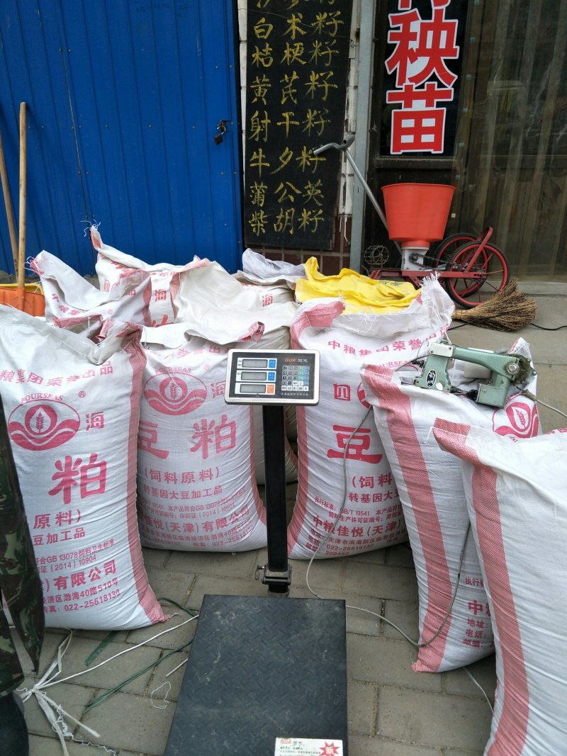 白术种子大量有货厂家直供价格实惠包成活包回收提供技术指