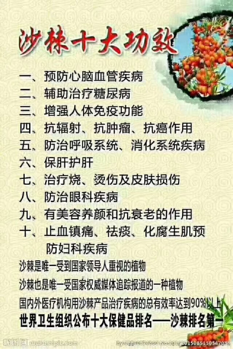 沙棘原果果干【特级大果】