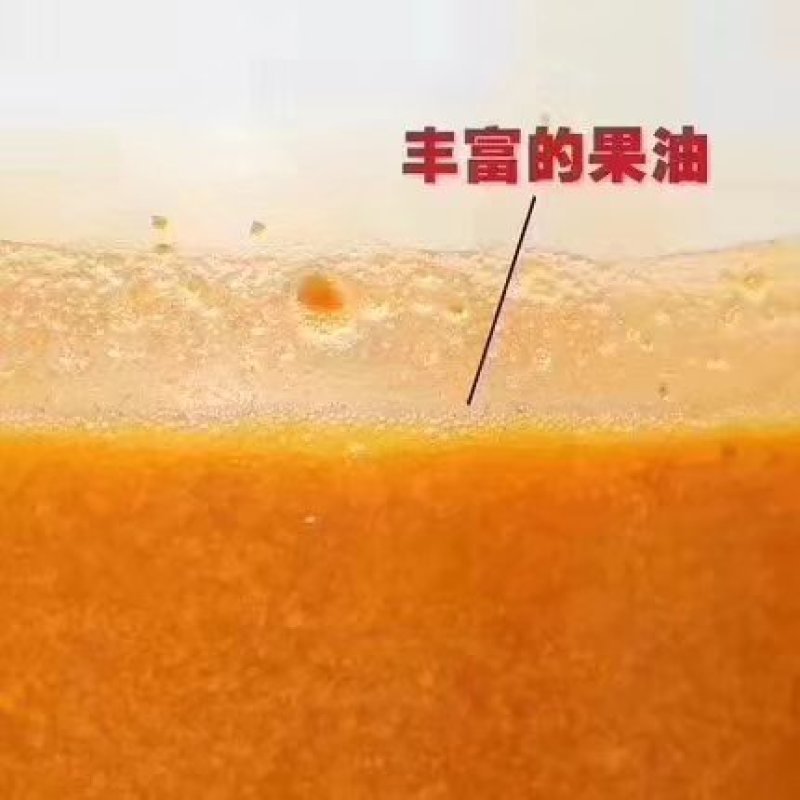 沙棘原果打粉（全粉）一斤起包邮