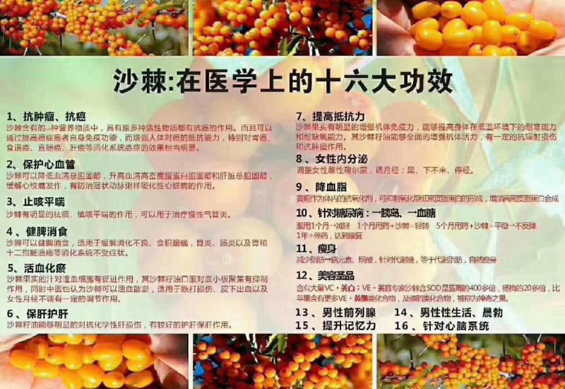 沙棘原果打粉（全粉）一斤起包邮