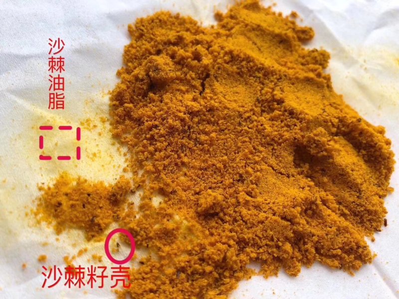 沙棘原果打粉（全粉）一斤起包邮
