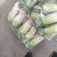 青萝卜1.5~2斤起，脆甜，青肉，无虫叶，无抽苔