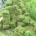 低价出售优质草皮