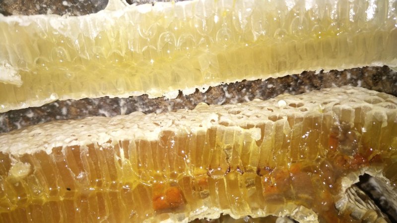 野生蜂蜜，天然香甜营养百花蜜