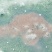 红虫