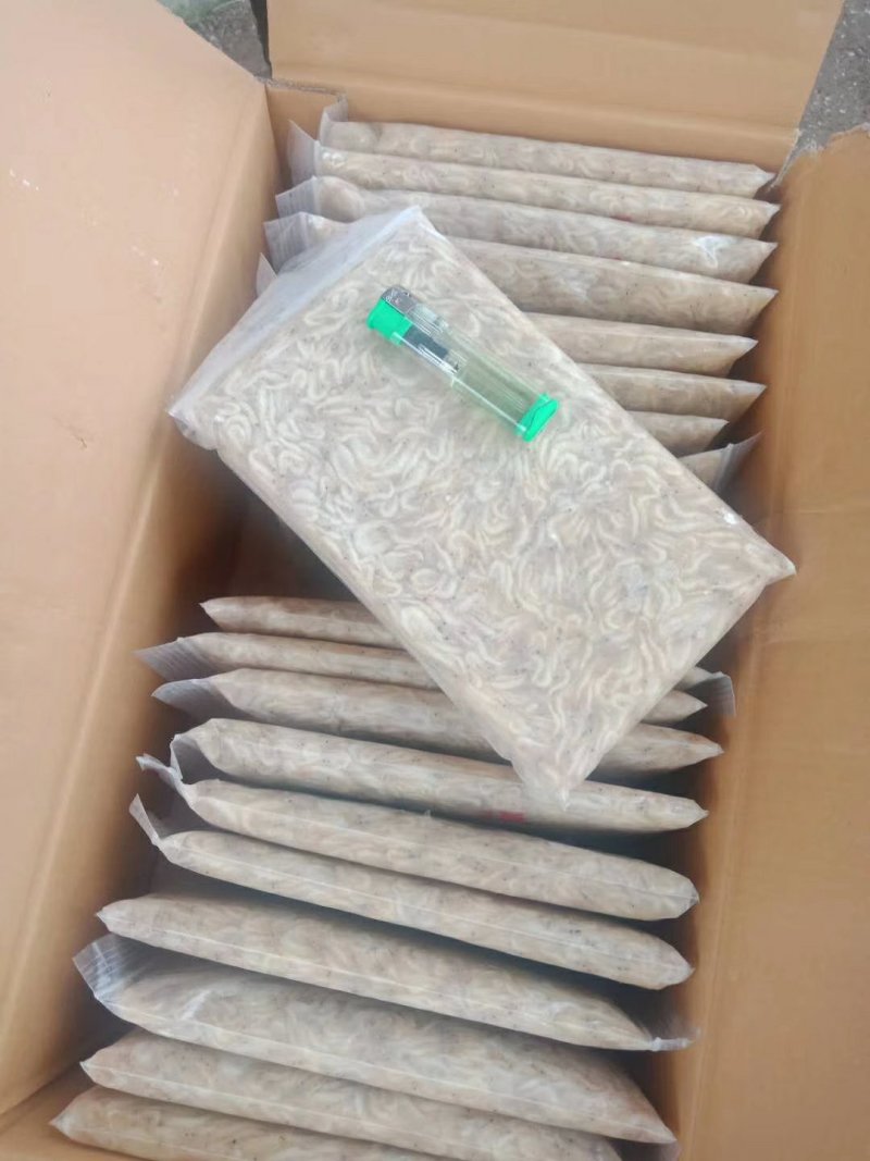 白虾.毛刀鱼