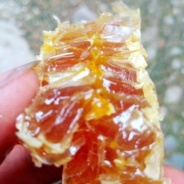 纯天然野生蜂蜜