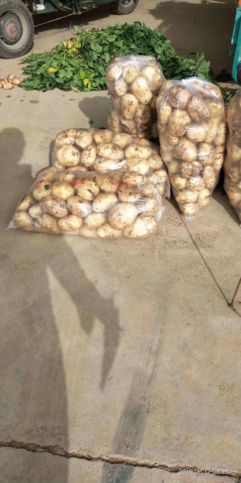 【荐】精品土豆大量上市中。品质保证，一手货源，欢迎选购