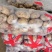 【荐】精品土豆大量上市中。品质保证，一手货源，欢迎选购