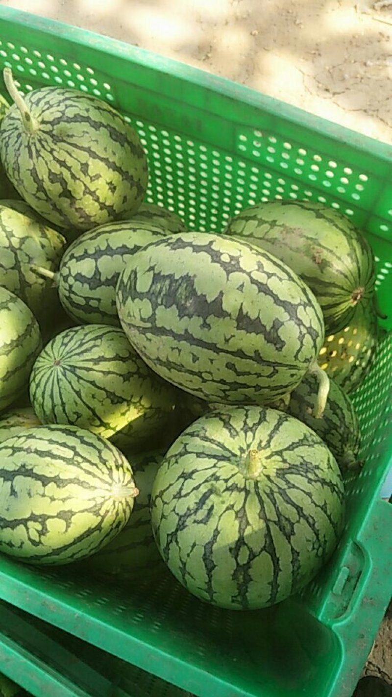 2k小掉瓜