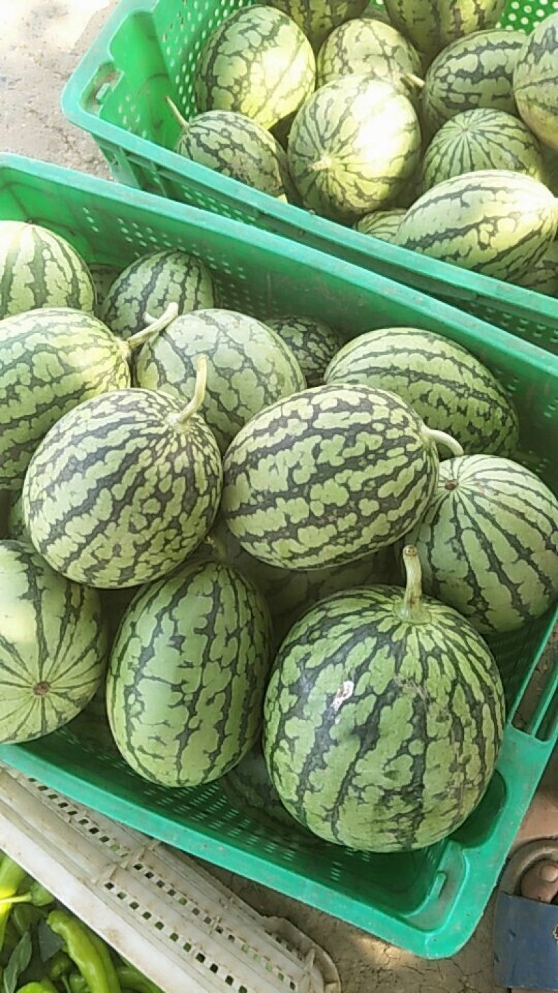 2k小掉瓜