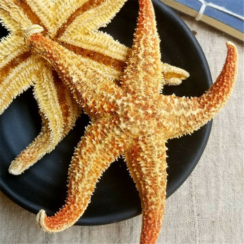 海星供应上千种中药才