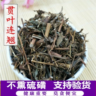 贯叶连翘供应上千种中药材