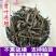 贯叶连翘供应上千种中药材