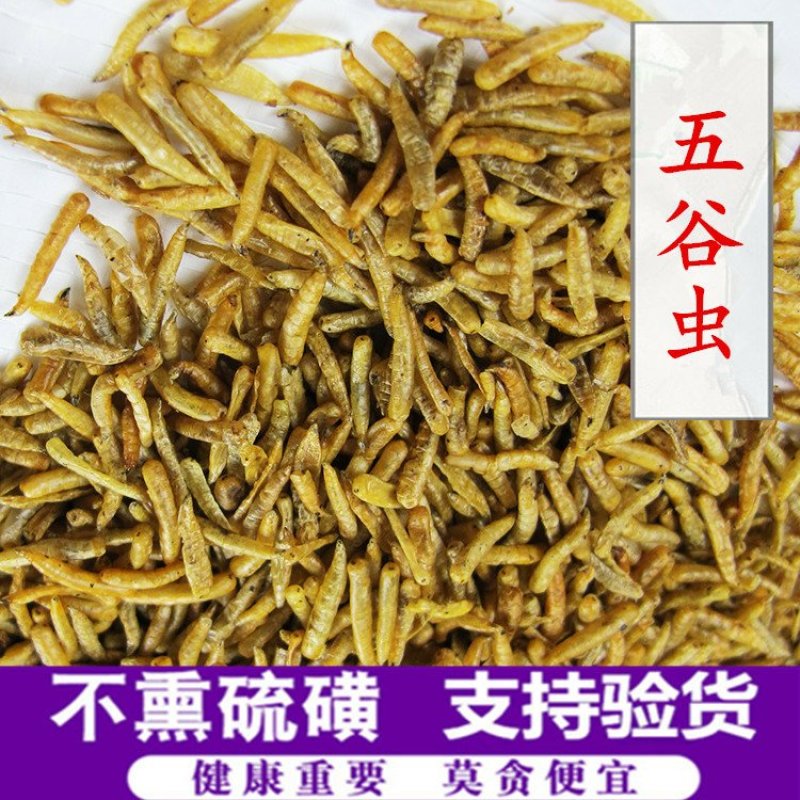 五谷虫供应上千种中药材