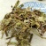 猫须草供应上千种中药材