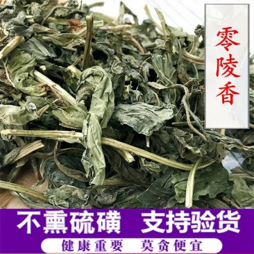 零陵香供应上千种中药材