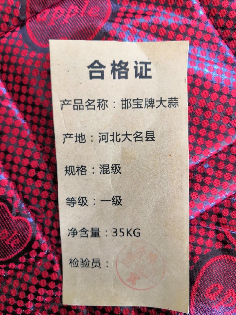 正宗河北大名蒜种蒜黄【基地供货质量保证】邯宝牌优质大蒜