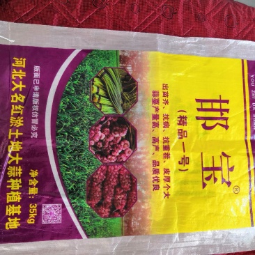 正宗河北大名蒜种蒜黄【基地供货质量保证】邯宝牌优质大蒜