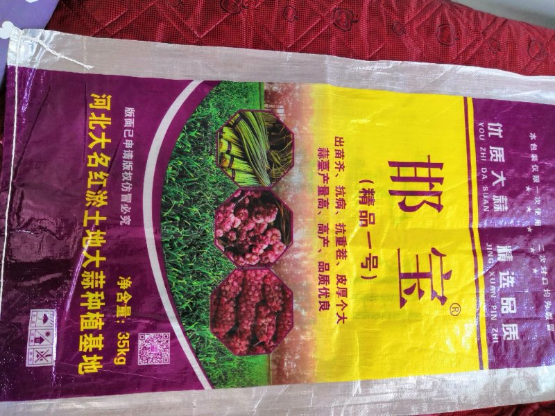 正宗河北大名蒜种蒜黄【基地供货质量保证】邯宝牌优质大蒜