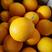 原装进口埃及夏橙皮薄多汁埃及酸橙