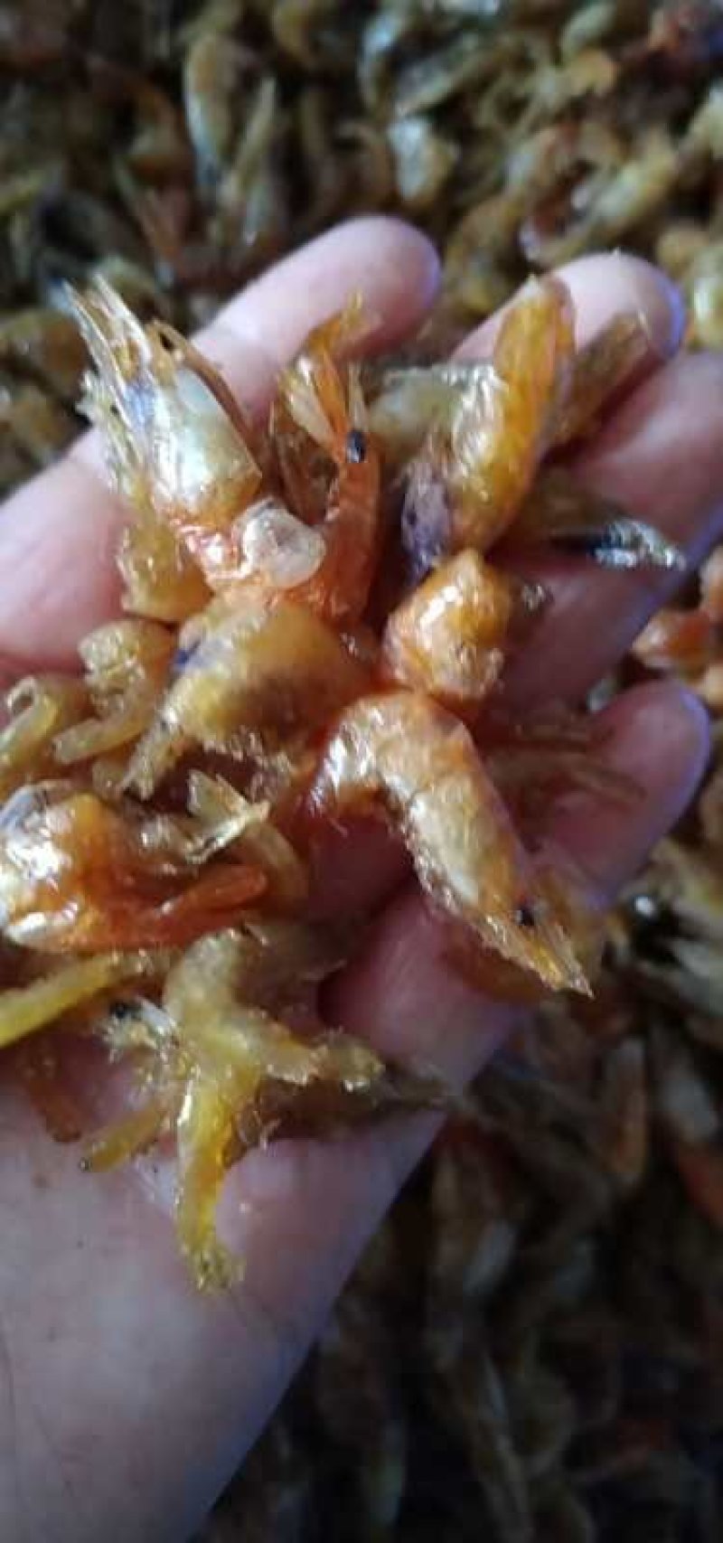 虾干油炸虾干无盐虾干河虾草虾淡水湖虾水库虾米红虾