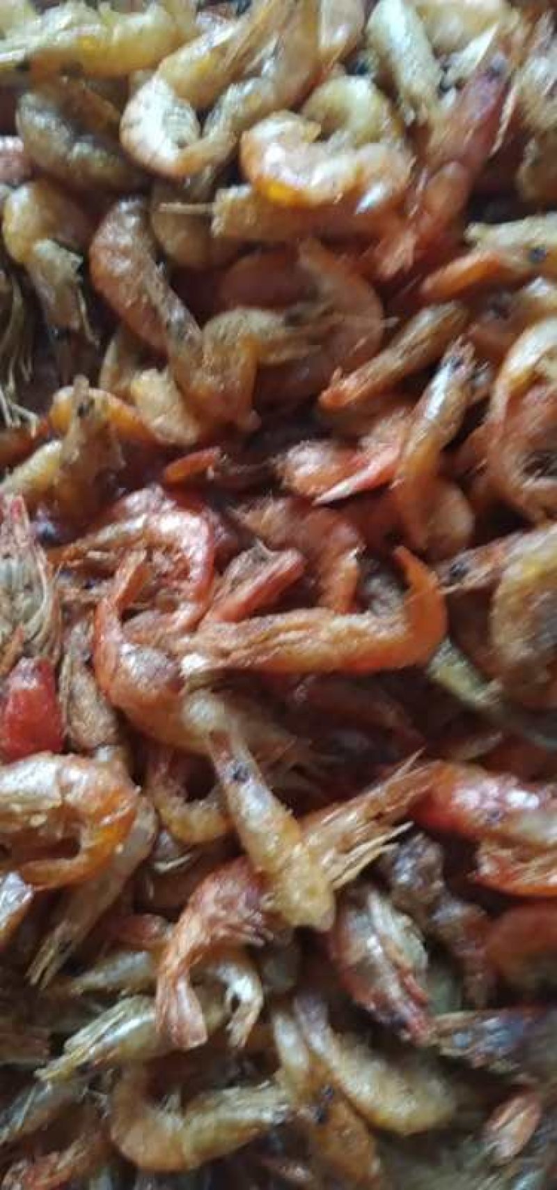 虾干油炸虾干无盐虾干河虾草虾淡水湖虾水库虾米红虾