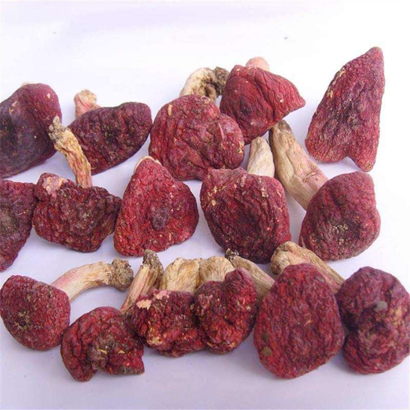 云南干红菇马上上市了，有人收吗？