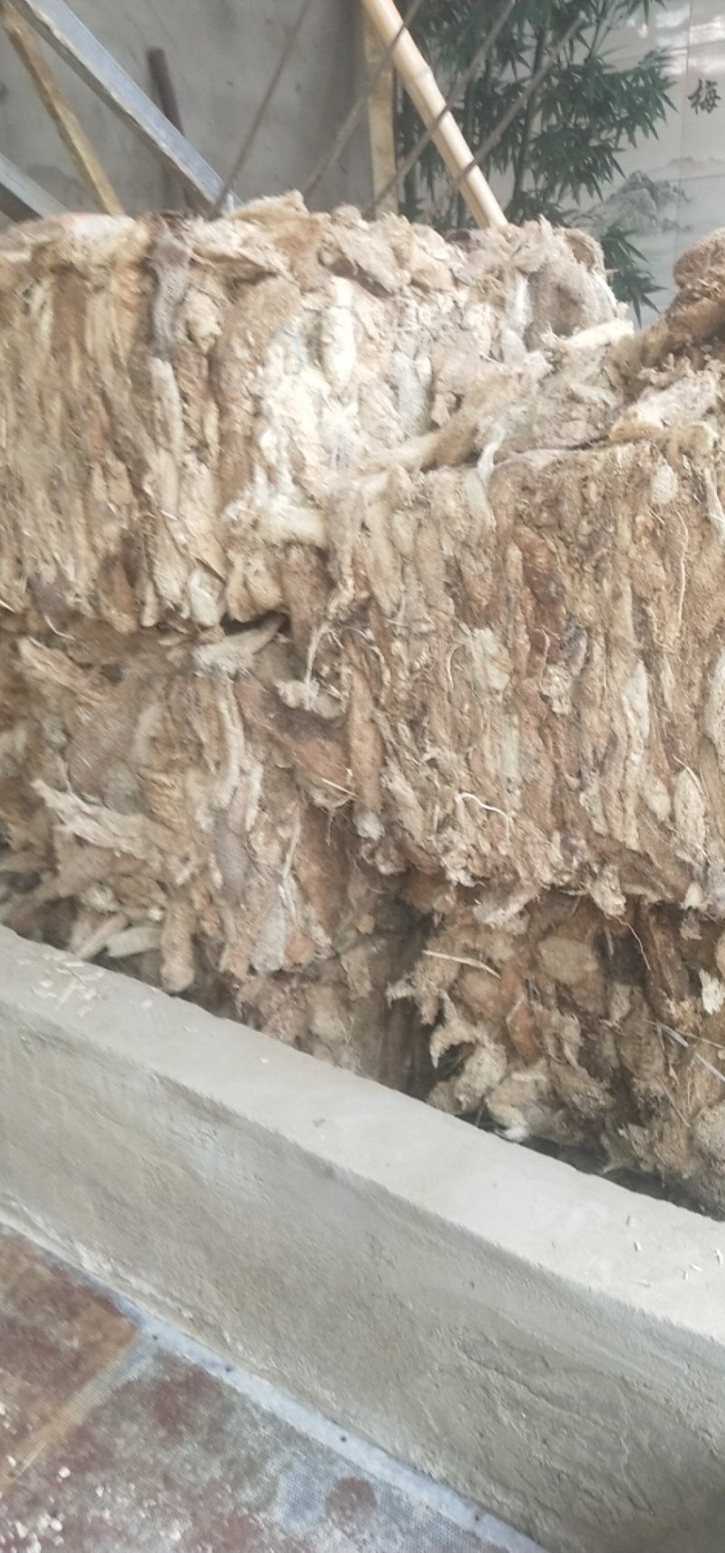 丝瓜络，各种规格，质量好，新货，无黑，无霉，籽少。一手货