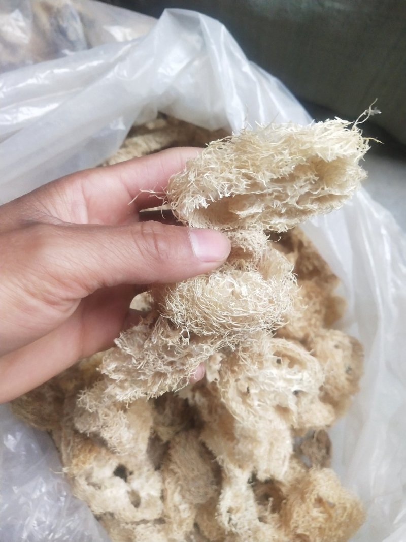 丝瓜络，各种规格，质量好，新货，无黑，无霉，籽少。一手货