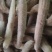 丝瓜络，各种规格，质量好，新货，无黑，无霉，籽少。一手货
