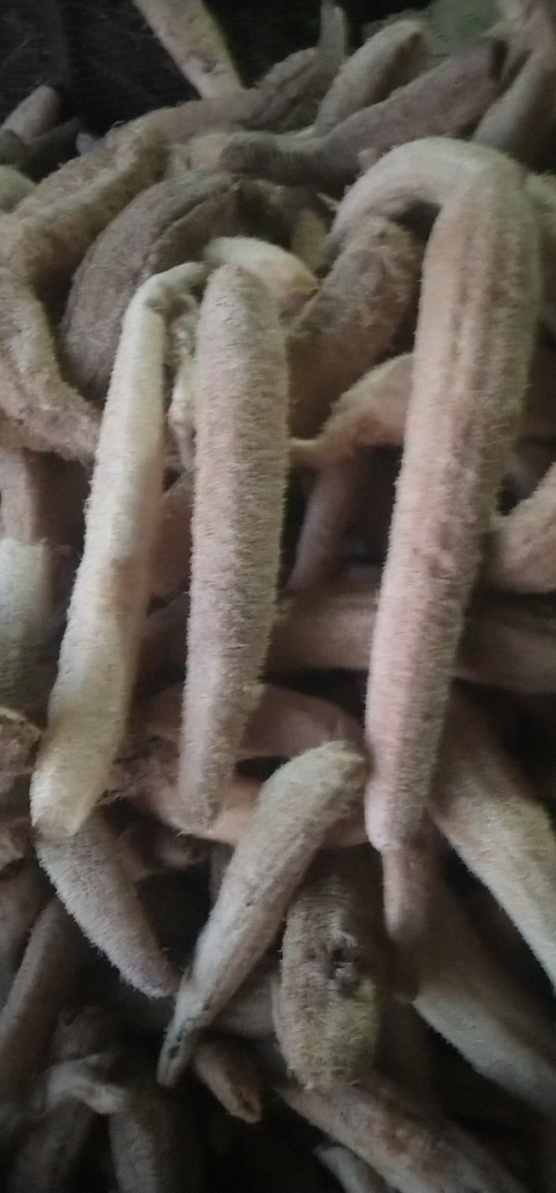 丝瓜络，各种规格，质量好，新货，无黑，无霉，籽少。一手货