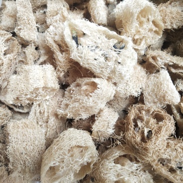丝瓜络，各种规格，质量好，新货，无黑，无霉，籽少。一手货