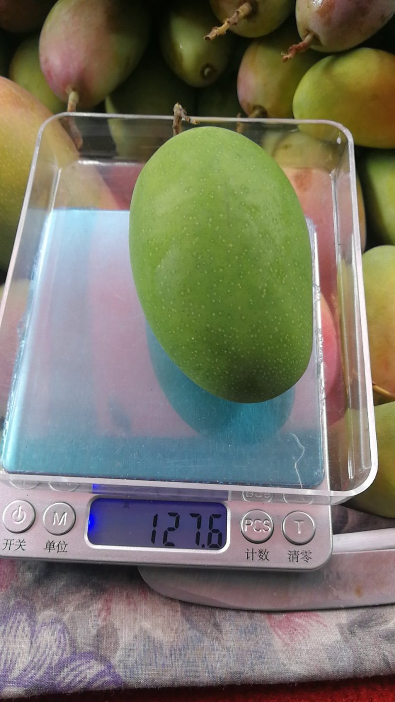 攀枝花正宗特色水果欢迎实地考察