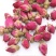 云南金边玫瑰花茶干玫瑰花茶正品高原自然无硫金边玫瑰花茶养