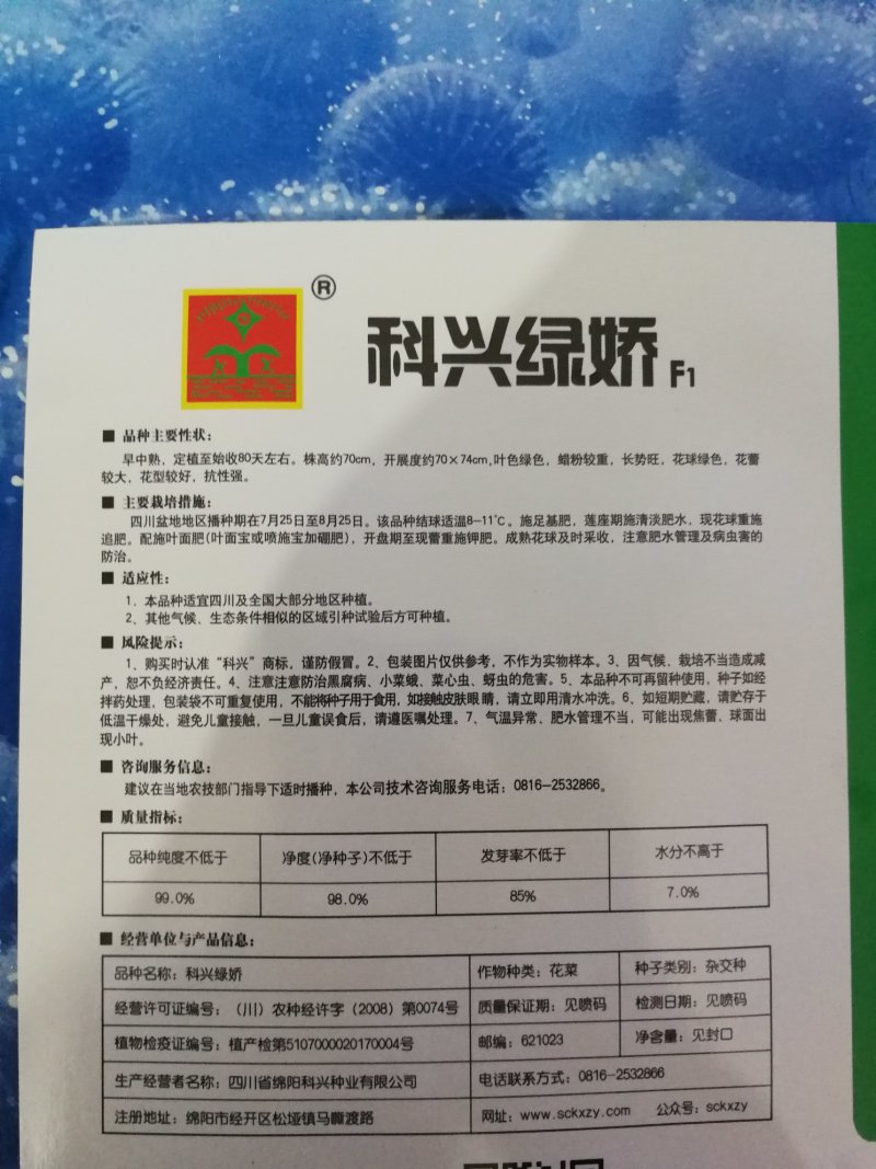 早熟西兰花种子西兰花种子青花菜种子（科兴绿娇）