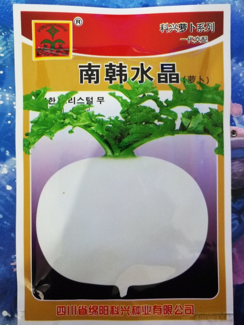 正宗圆白白萝卜种子圆根萝卜种子水晶萝卜种子冰糖萝卜种子