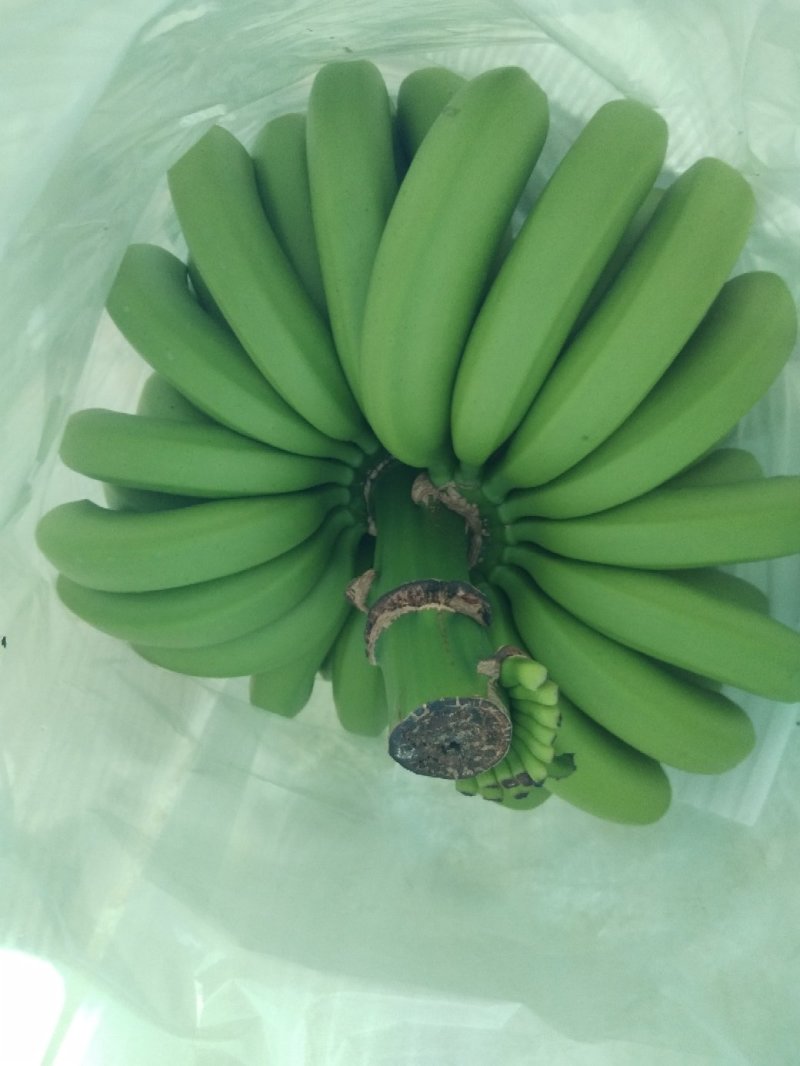 香蕉随手拍一下