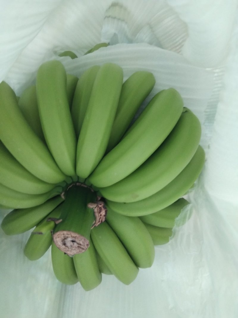 香蕉随手拍一下