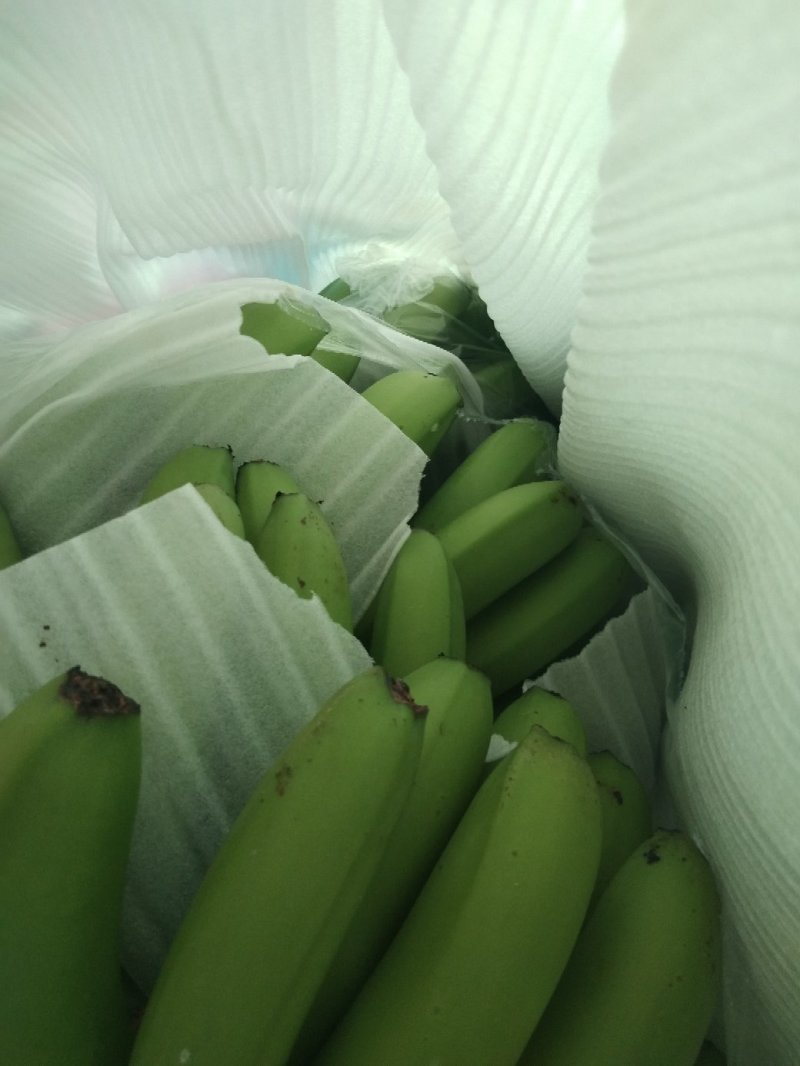 香蕉随手拍一下