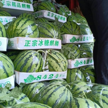 8424西瓜，皮薄口感脆甜。