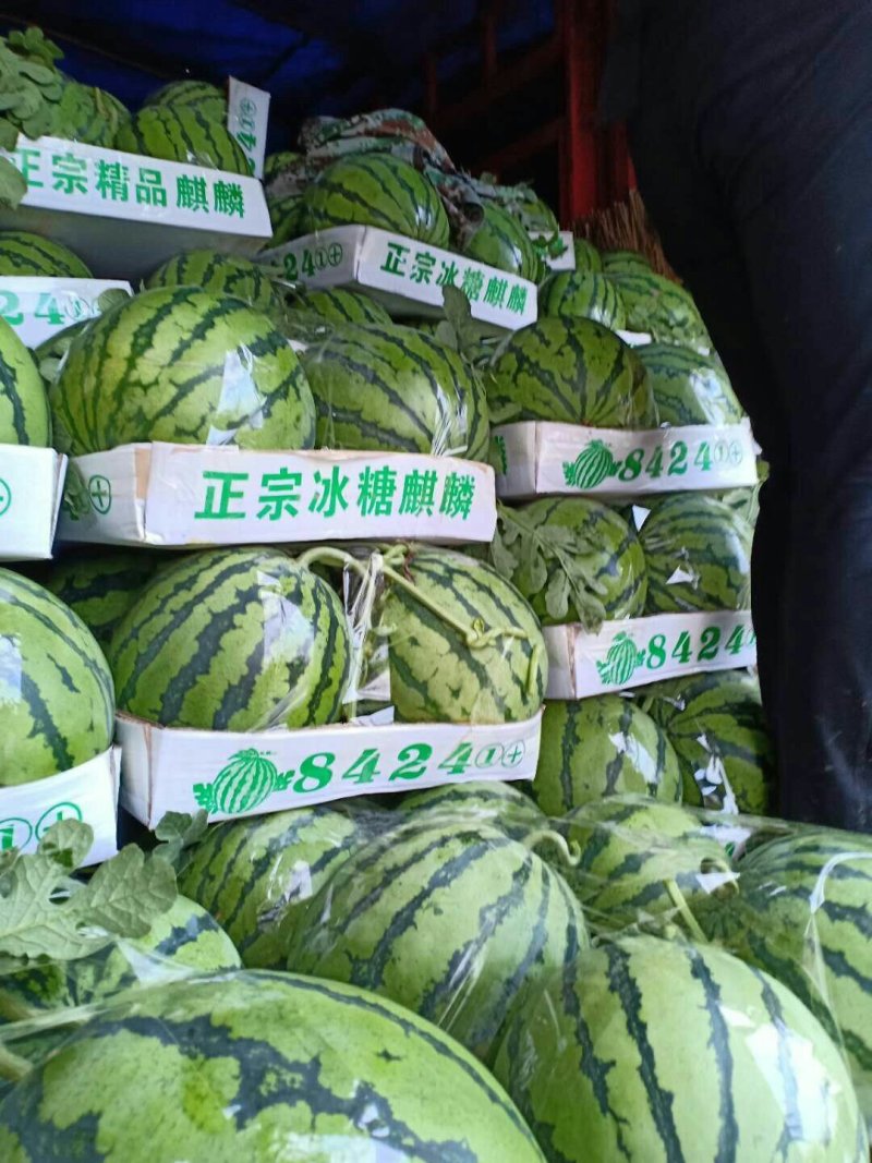 8424西瓜，皮薄口感脆甜。