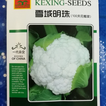 紧花菜种子白花菜种子花椰菜种子（雪域明珠）