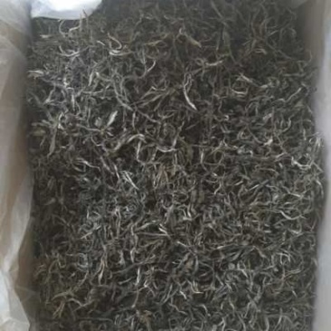 普洱古树茶