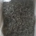 普洱古树茶