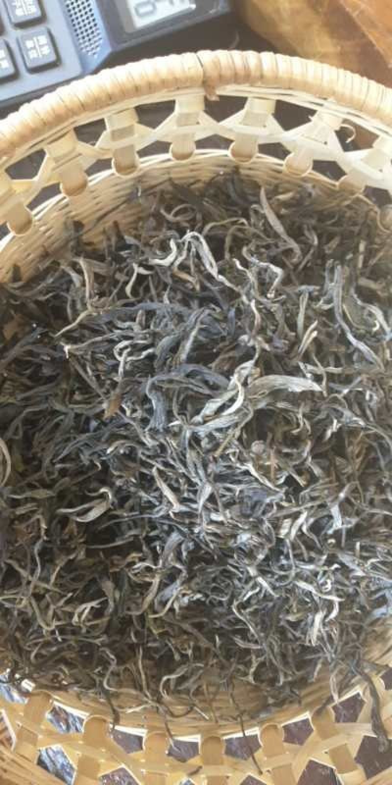 普洱茶乔木春茶