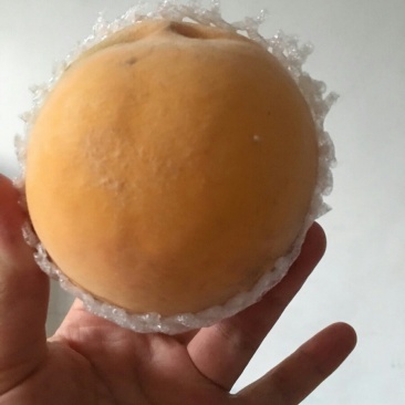一件代发黄桃水果