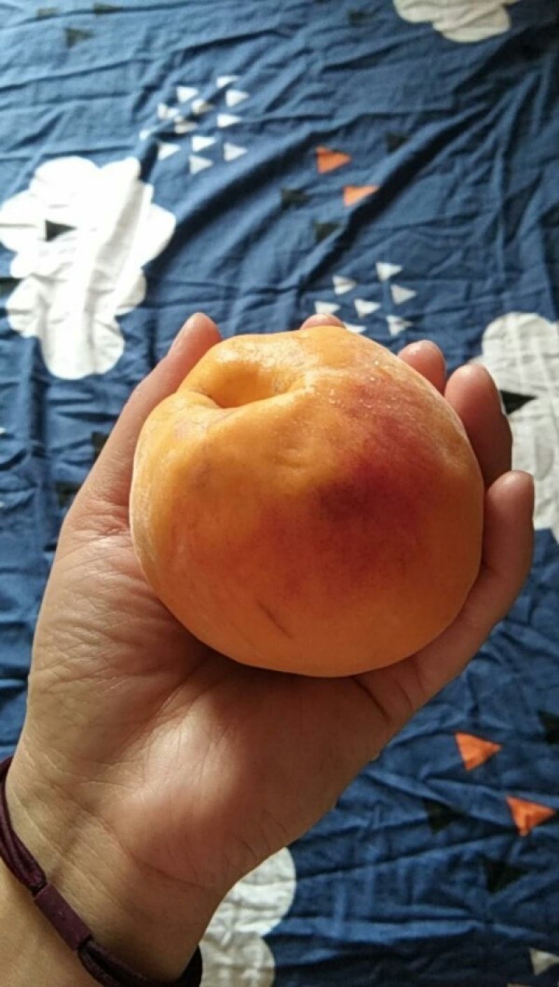 一件代发黄桃水果